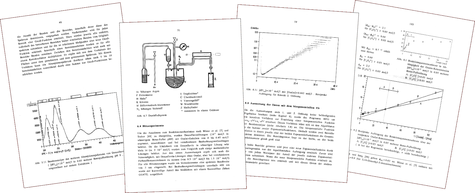 Seiten aus Dissertation